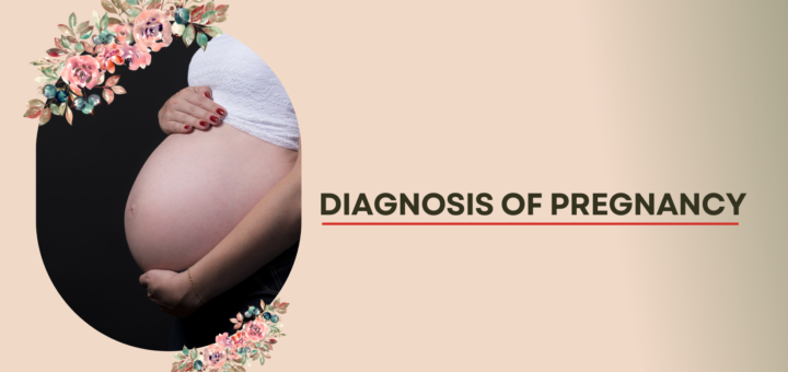 Diagnosis of pregnancy