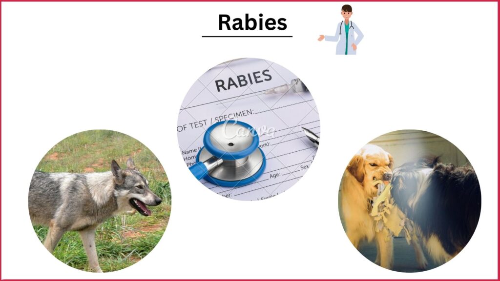 Rabies